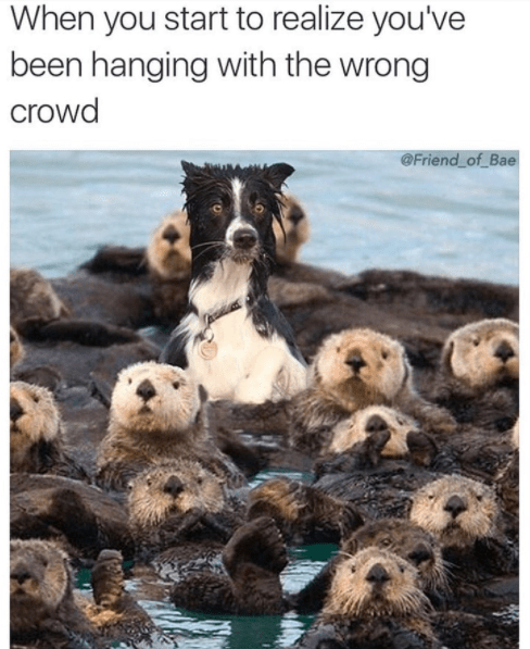 Image040