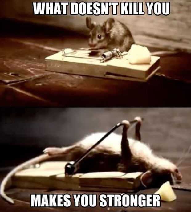 Image048