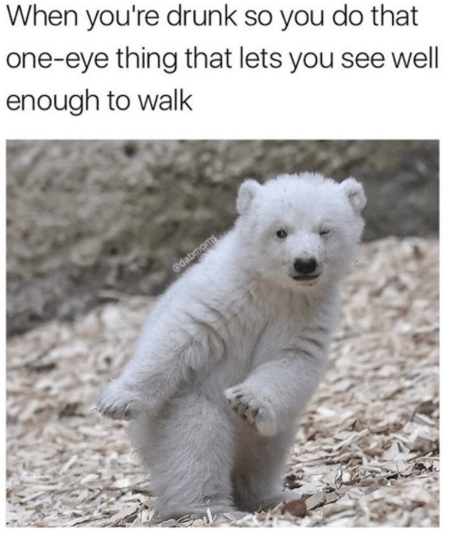 Image050
