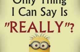 Minion Really