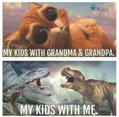 parents grandmacat