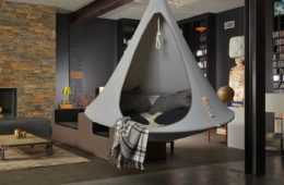 Grey Cacoon Hanging From The Wall