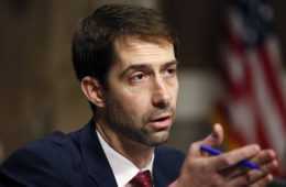 160212 Tom Cotton Ap 1160