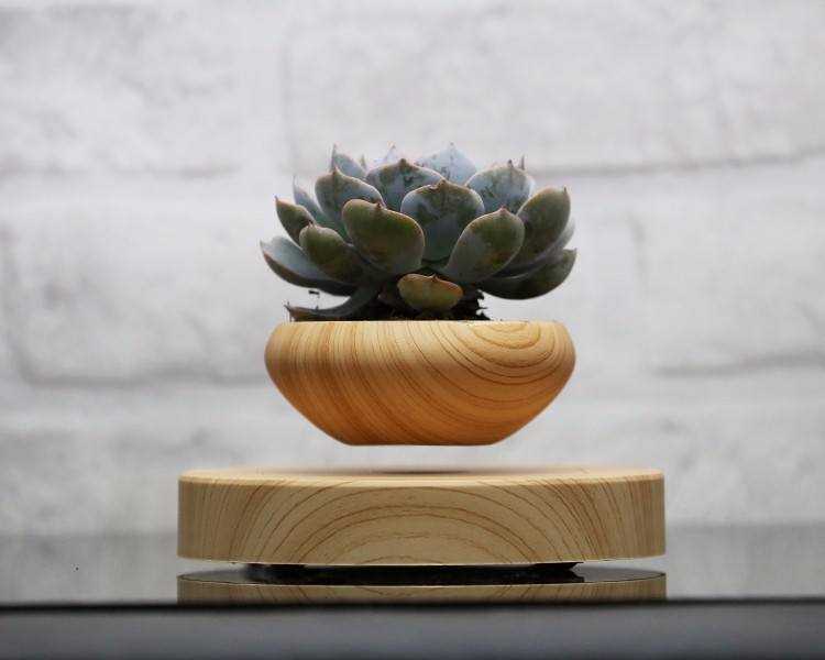 levitating plant pot hovering over an oak base