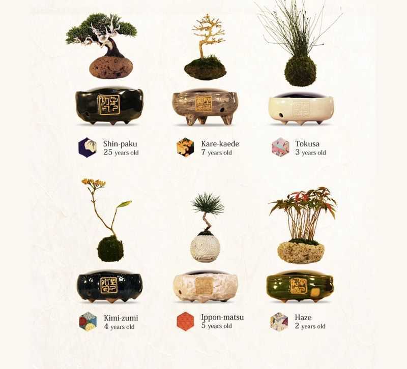 Simple price reference chart for air Bonsai levitating plant pot