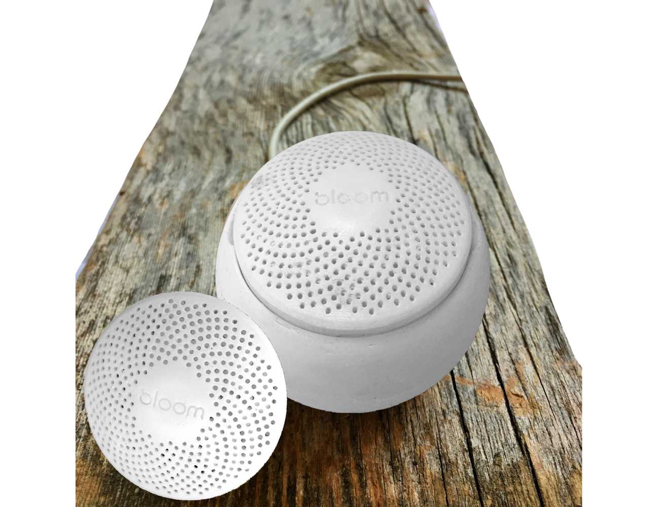 Bloom Portable Air Quality Monitor On a Wood Plank