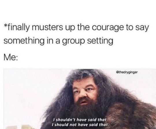 introvert hagrid