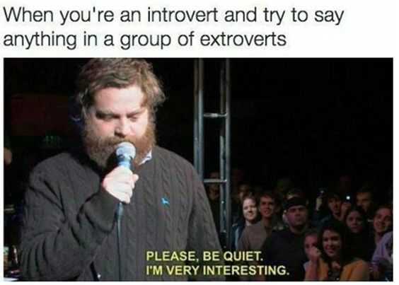 introvert interesting