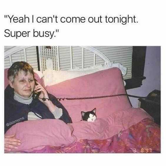 introvert superbusy