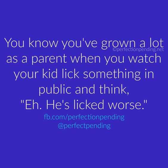 34 Funny Quotes for Parenting - The Funny Beaver