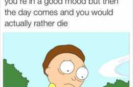 Meme Rickplans