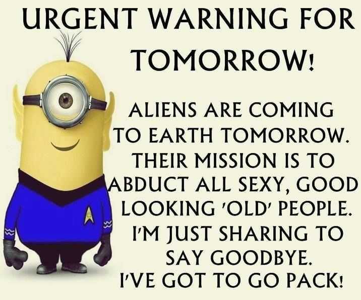 Funny minion memes 5  tomorrow