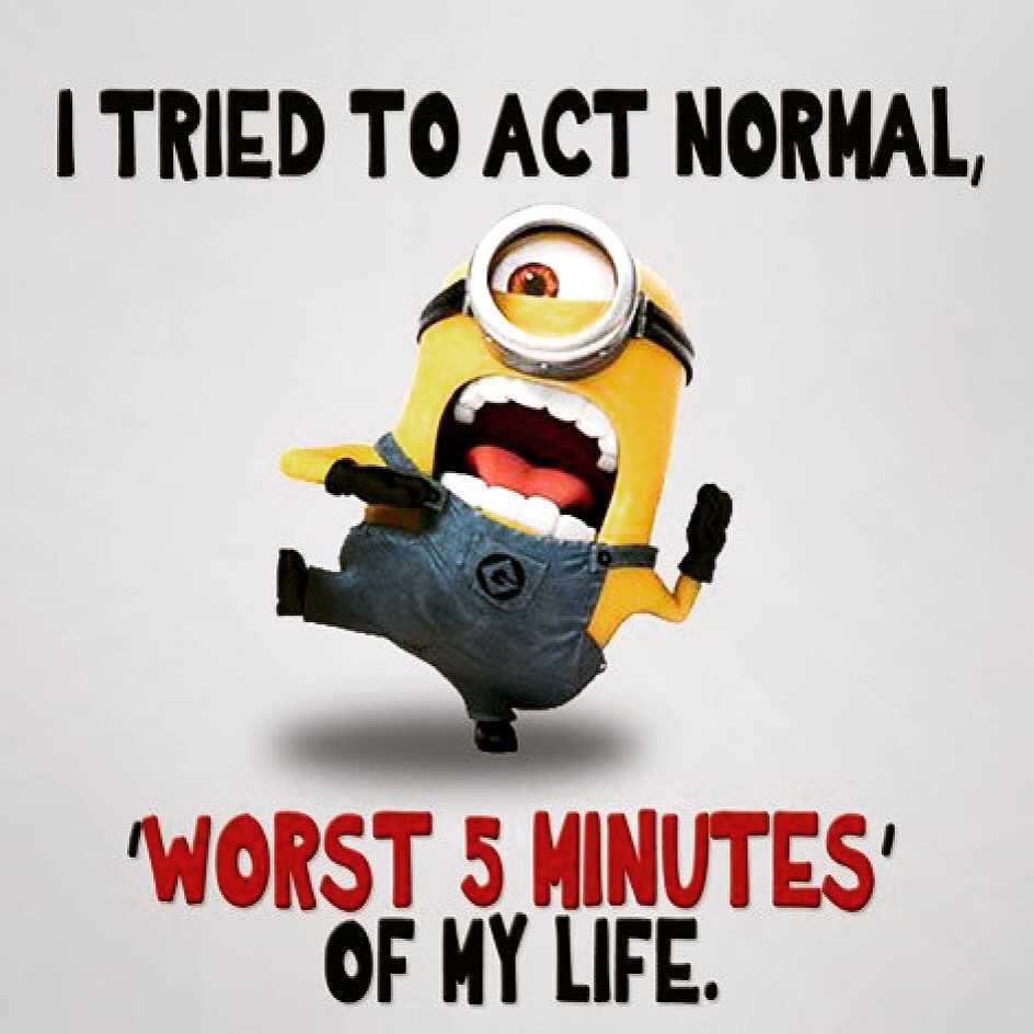 funny minion memes  acting normal