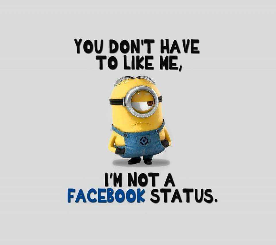 Funny minion memes 2  facebook