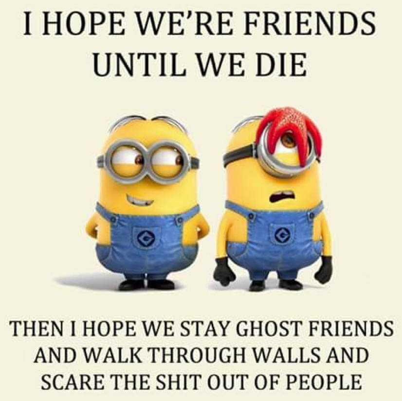 Funny minion memes 1  friends