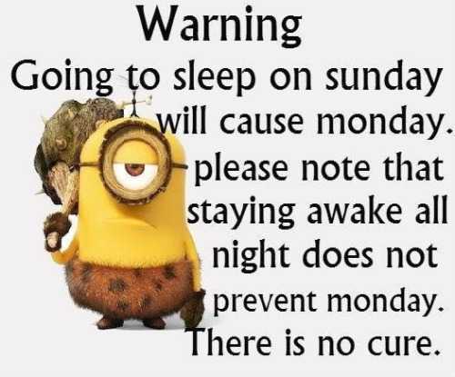 Funny minion pictures 4  sleep