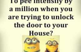 Minion Peehouse