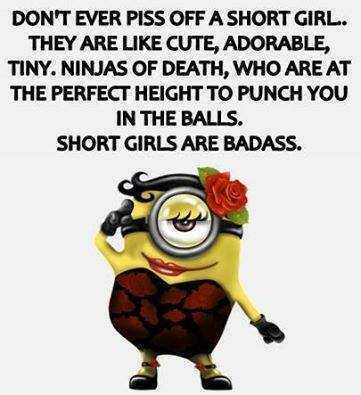 funny minion pic 6  short girls