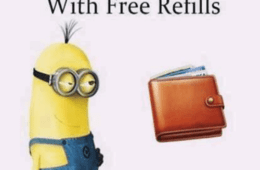 Minion Walletreflls