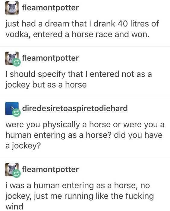 tumblr horserace