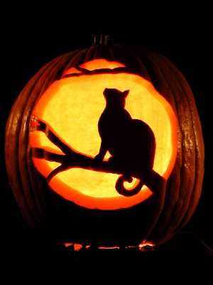 27 Great Pumpkin Carving Ideas | The Funny Beaver