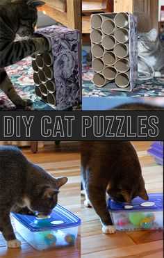 diy catpuzzles