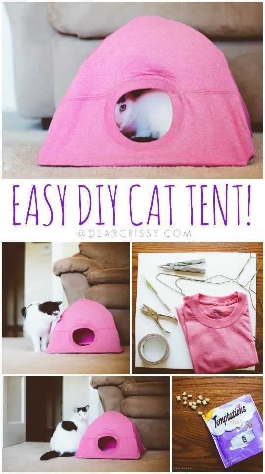 9 DIY Projects For Cat Owners To Make | The Funny Beaver