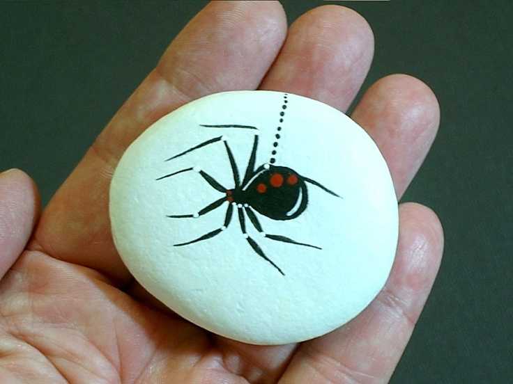 rock painting ideas halloween  black widow spider