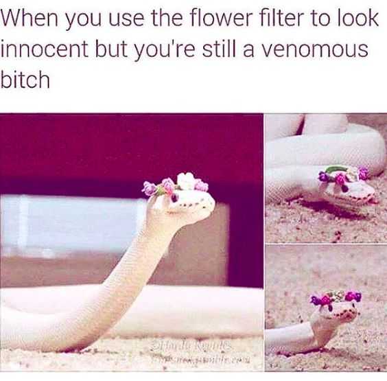 funny flower filter