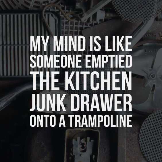 30 Snappy Funny Quotes | funny forktrampoline 30 Snappy Funny Quotes
