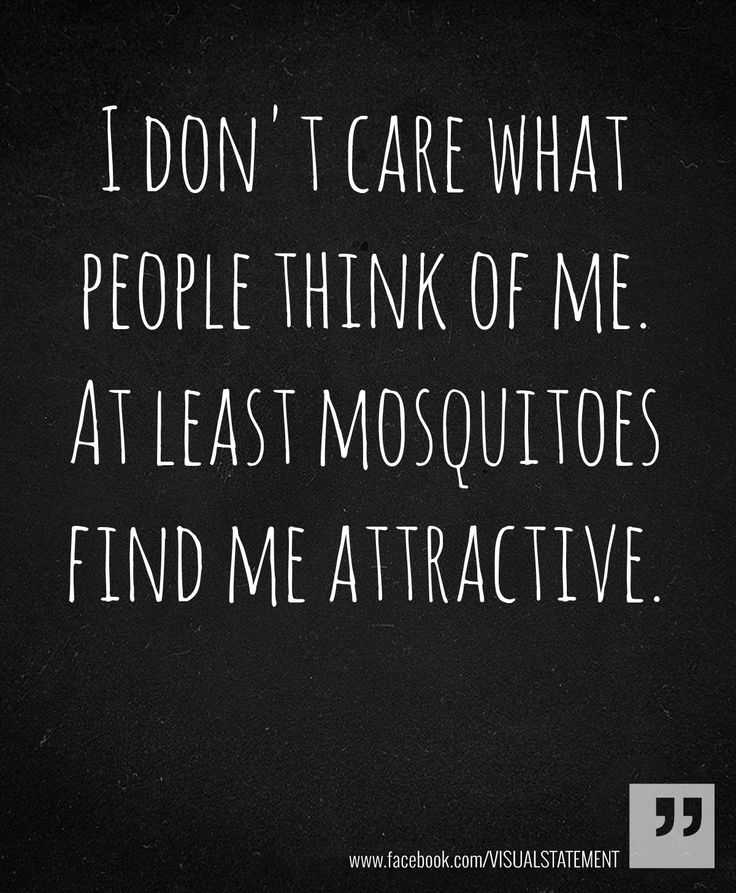 30 Snappy Funny Quotes | funny mosquitos 30 Snappy Funny Quotes
