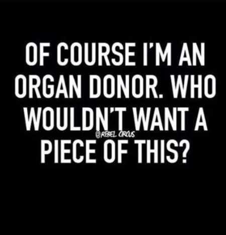 30 Snappy Funny Quotes | funny pieceofthis 30 Snappy Funny Quotes
