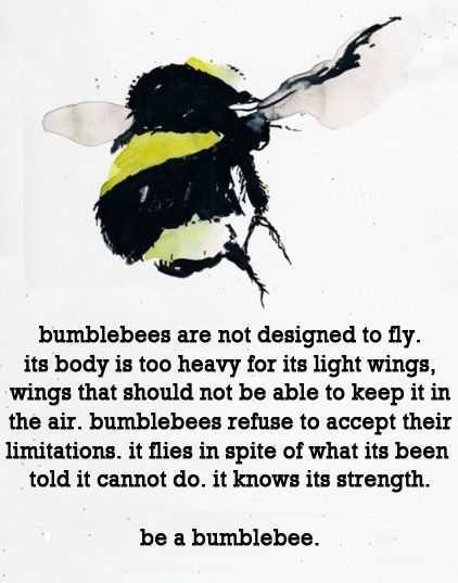 24 Wonderful Inspirational Quotes | quote beefact 24 Wonderful Inspirational Quotes