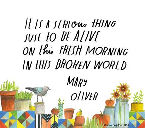 20 New Beautiful Inspirational Quotes | quote itaseriousthing 20 New Beautiful Inspirational Quotes