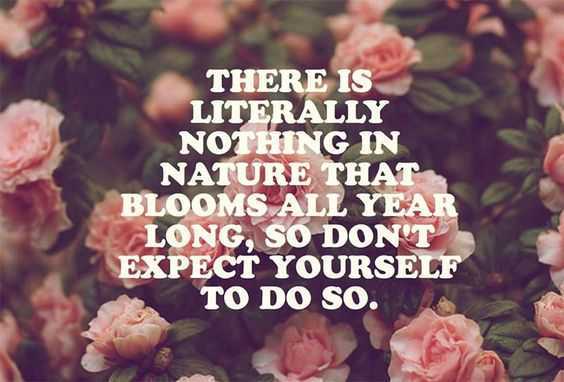 20 New Beautiful Inspirational Quotes | quote natureblooms 20 New Beautiful Inspirational Quotes