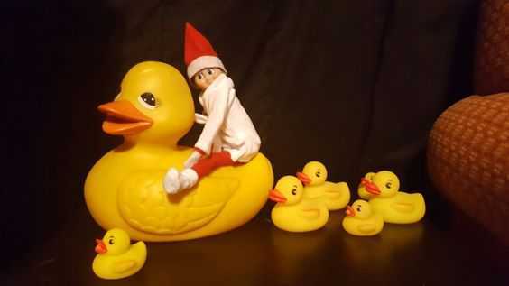 elf on a shelf  riding the rubber ducks