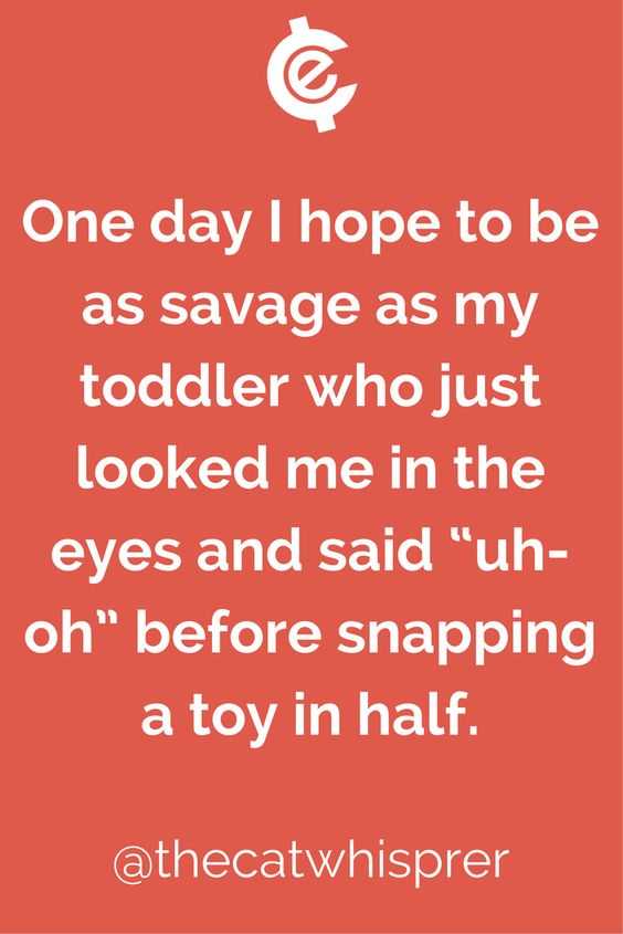 funny savage toddler
