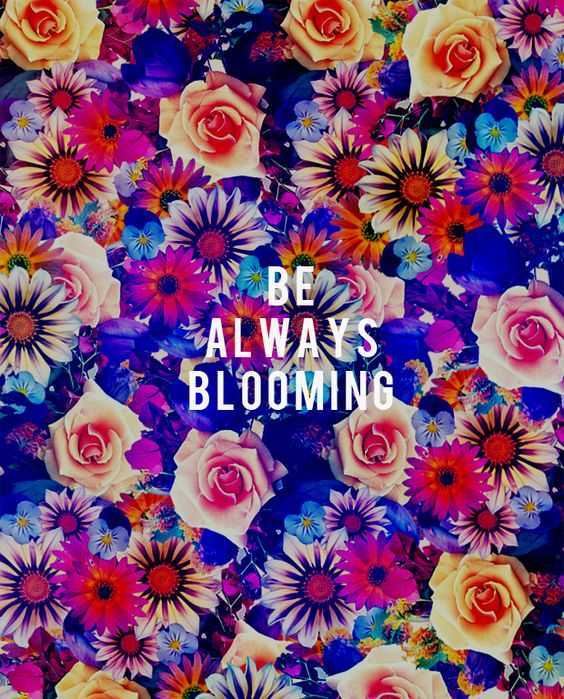 41 Unbelievable Inspirational Quotes | quote be always blooming quote about blooming