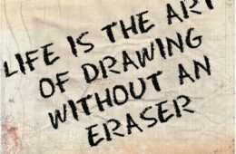 Quote Life Is The Art