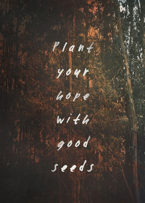 Quote about life