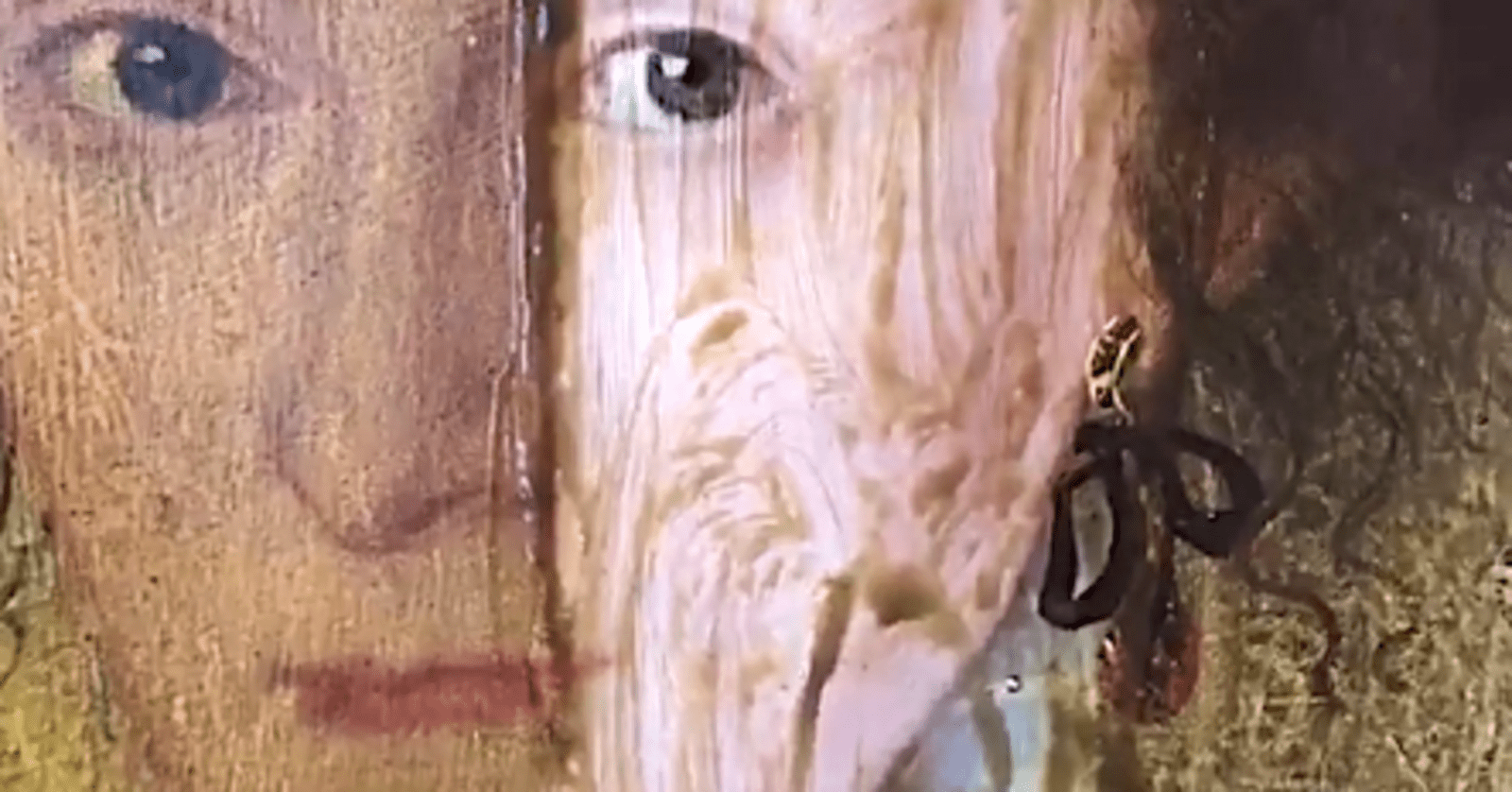 The Varnish Was Removed From This 400-Year-Old Painting, And The Difference It Made Was Insane | 5a01a90c17000021007963d0 The Varnish Was Removed From This 400-Year-Old Painting, And The Difference It Made Was Insane