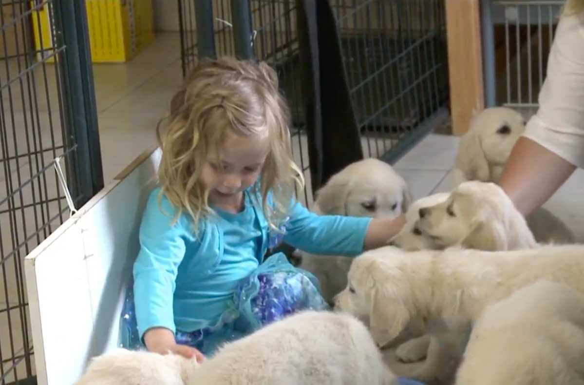 When This Four-Year-Old Saw A Man “Sleeping” On A Bathroom Floor, She Knew She Had To Run For Help | Dog 1 When This Four-Year-Old Saw A Man “Sleeping” On A Bathroom Floor, She Knew She Had To Run For Help