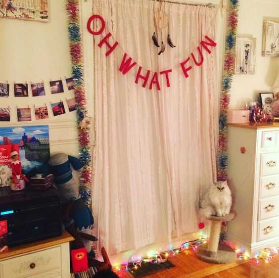 funny christmas cat pictures oh what fun