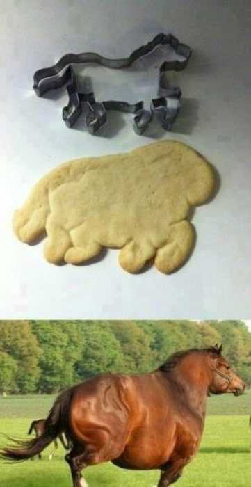 Funny Images Fat Is The New Thin For Cookies Too