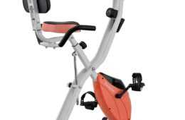 Harvill Bike Peach