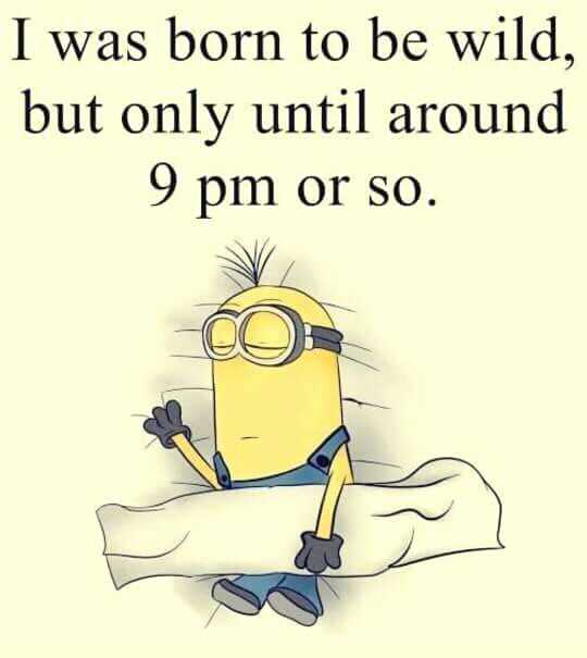 31 Funny Laugh-out-Loud Minions Pictures | minion born to wild 31 Funny Laugh-out-Loud Minions Pictures - wild till 9pm