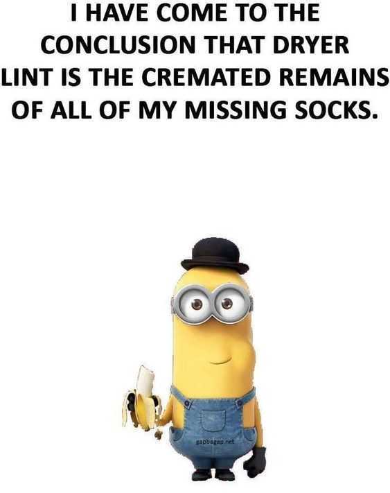 31 Funny Laugh-out-Loud Minions Pictures | minion cremated socks Minions Pictures - conclusion about dryer lint