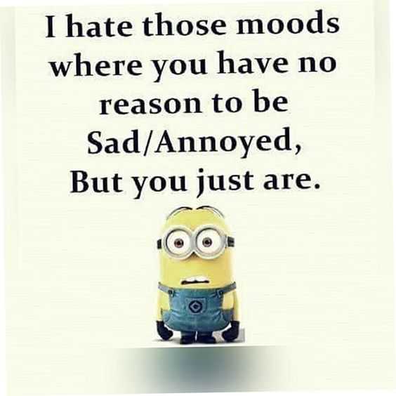 31 Funny Laugh-out-Loud Minions Pictures | minion have no reason 31 Funny Laugh-out-Loud Minions Pictures - no reason to be sad mood