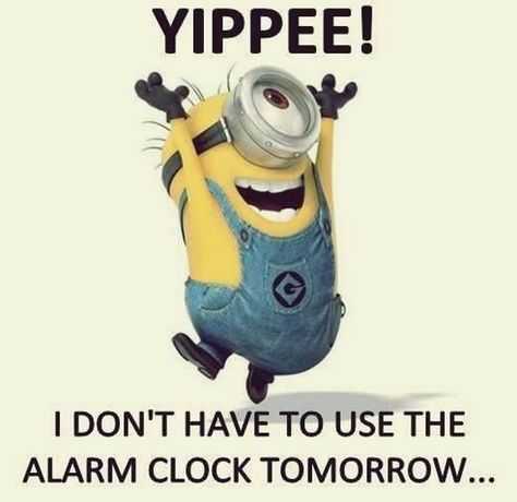 31 Funny Laugh-out-Loud Minions Pictures | minion use alarm clock 31 Funny Laugh-out-Loud Minions Pictures - no alarm clock tomorrow