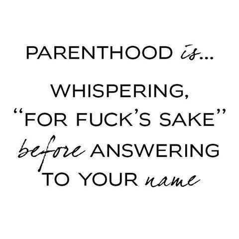 Funny quote about parenthood
